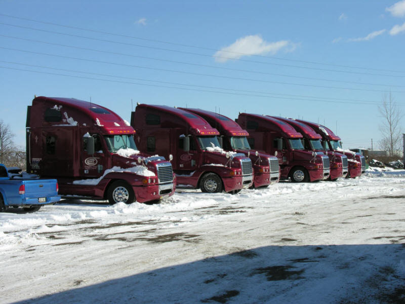 Fleet of red Freightliner highway tractors in the yard in the snow