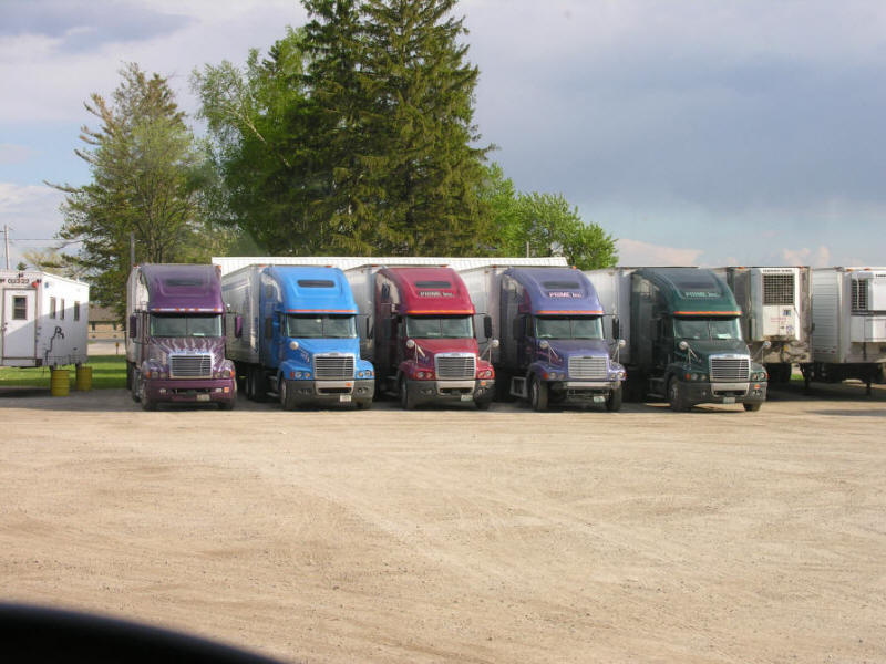 Assorted colors of Freightliner tractor trailers from Prime Trucking 